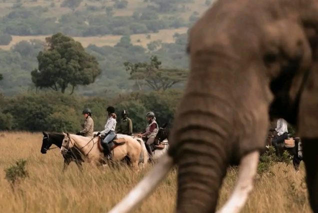8 Days Private Horse Riding Safari Kenya – Exclusive Masai Mara to Lamun Journey