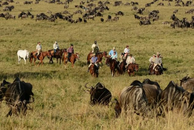 8 Night Laikipia Offbeat Riding Safari