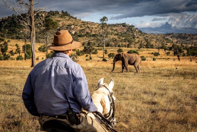 Rocky Hollow Conservancy Horseback Adventure – 5 Days of Wildlife and Scenic Rides