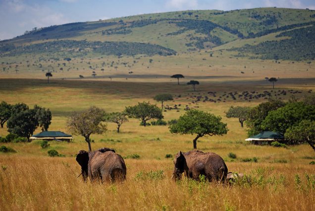 An Exclusive 3 Days Fly-In Safari Experience to the Heart of the Maasai Mara: From Diani’s Shores to Sand River’s Iconic Plains